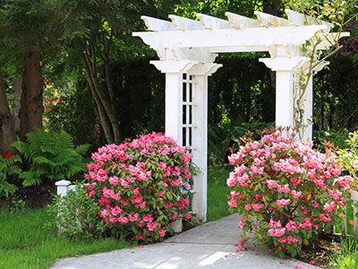 garden-bed-maintenance
