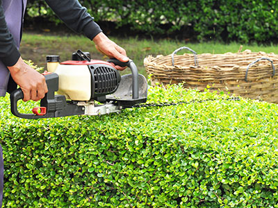hedge-trimming