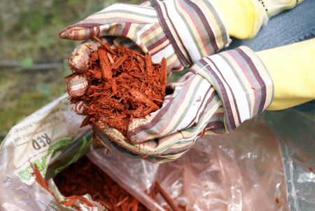 What is Mulching & Why Does It Matter?