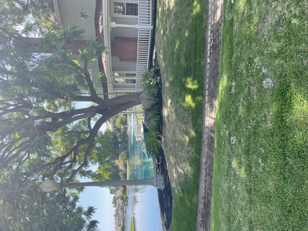 Tree trimming and Landscaping in Visalia, CA