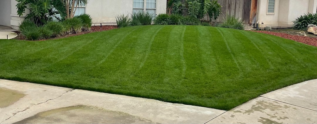 Lawn Maintenance in beautiful Visalia, California neighborhood