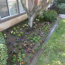 Planting Flowers in Visalia, CA 2