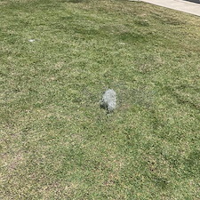 Replacement of Sprinklers in Visalia, CA 1