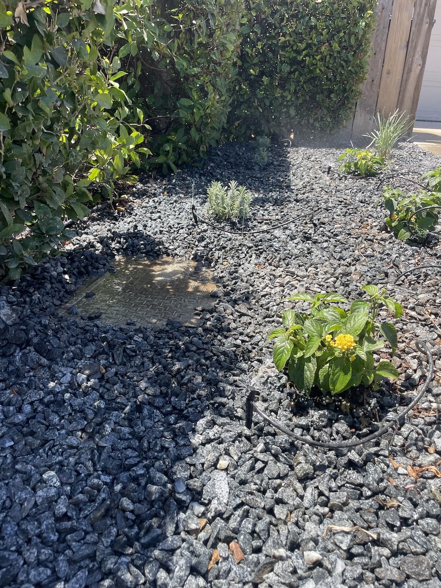 Residential Landscaping Job in Visalia, CA