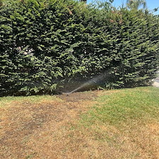 Residential-Landscaping-Job-in-Visalia-CA 2