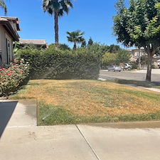 Residential-Landscaping-Job-in-Visalia-CA 3