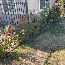 Residential-Landscaping-Job-in-Visalia-CA 4