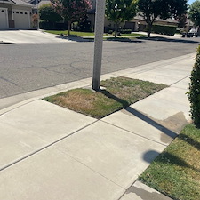 Residential-Landscaping-Job-in-Visalia-CA 6