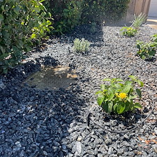 Residential-Landscaping-Job-in-Visalia-CA 7