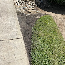 Tree trimming and Landscaping in Visalia, CA 0