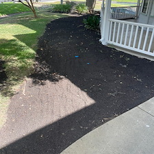 Tree trimming and Landscaping in Visalia, CA 2