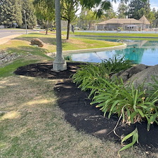 Tree trimming and Landscaping in Visalia, CA 3