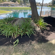 Tree trimming and Landscaping in Visalia, CA 4