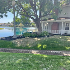 Tree trimming and Landscaping in Visalia, CA 7