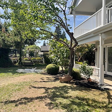 Tree trimming and Landscaping in Visalia, CA 9