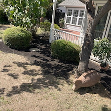 Tree trimming and Landscaping in Visalia, CA 10