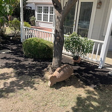 Tree trimming and Landscaping in Visalia, CA 11