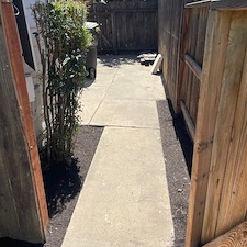 Tree trimming and Landscaping in Visalia, CA 12