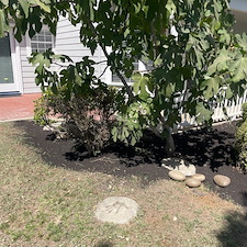 Tree trimming and Landscaping in Visalia, CA 13