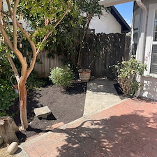Tree trimming and Landscaping in Visalia, CA 14