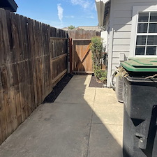 Tree trimming and Landscaping in Visalia, CA 15
