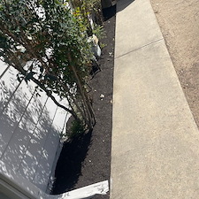 Tree trimming and Landscaping in Visalia, CA 22