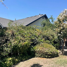 Tree trimming and Landscaping in Visalia, CA 24