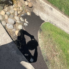 Tree trimming and Landscaping in Visalia, CA 28
