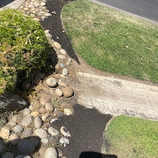 Tree trimming and Landscaping in Visalia, CA 29