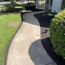 Tree trimming and Landscaping in Visalia, CA 30