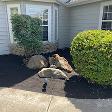 Tree trimming and Landscaping in Visalia, CA 31