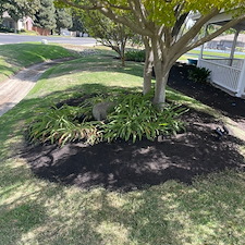 Tree trimming and Landscaping in Visalia, CA 33