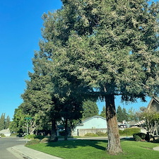 Aeration, Dethatching and Reseeding in Visalia, CA 0