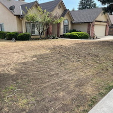 Aeration, Dethatching and Reseeding in Visalia, CA 3
