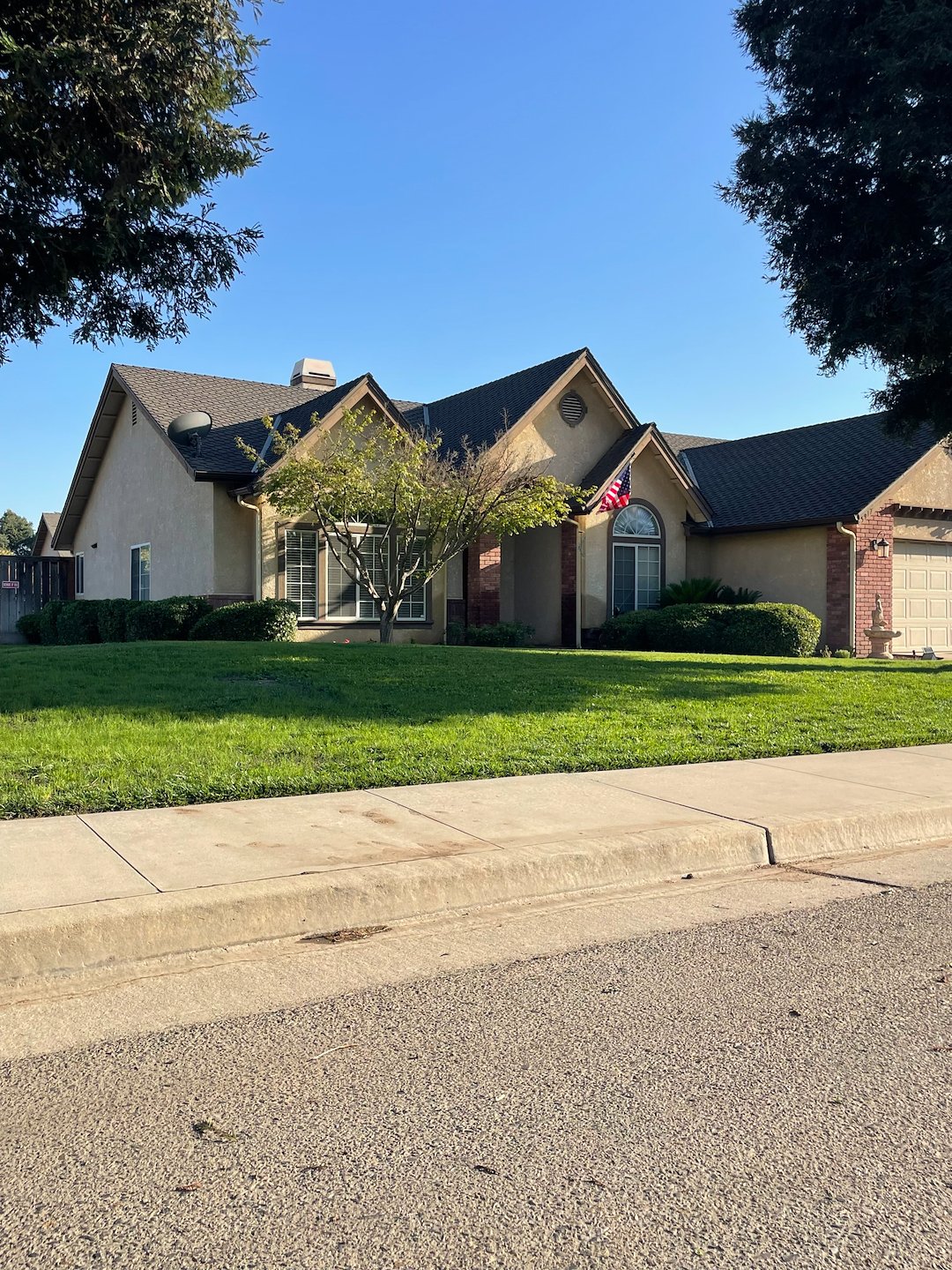 Transforming Lawns: Reseeding Service Provided in Visalia, Ca