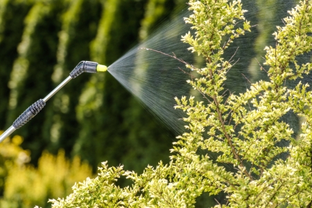 Fungicide Application