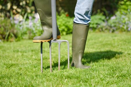 Lawn Aeration & Thatching